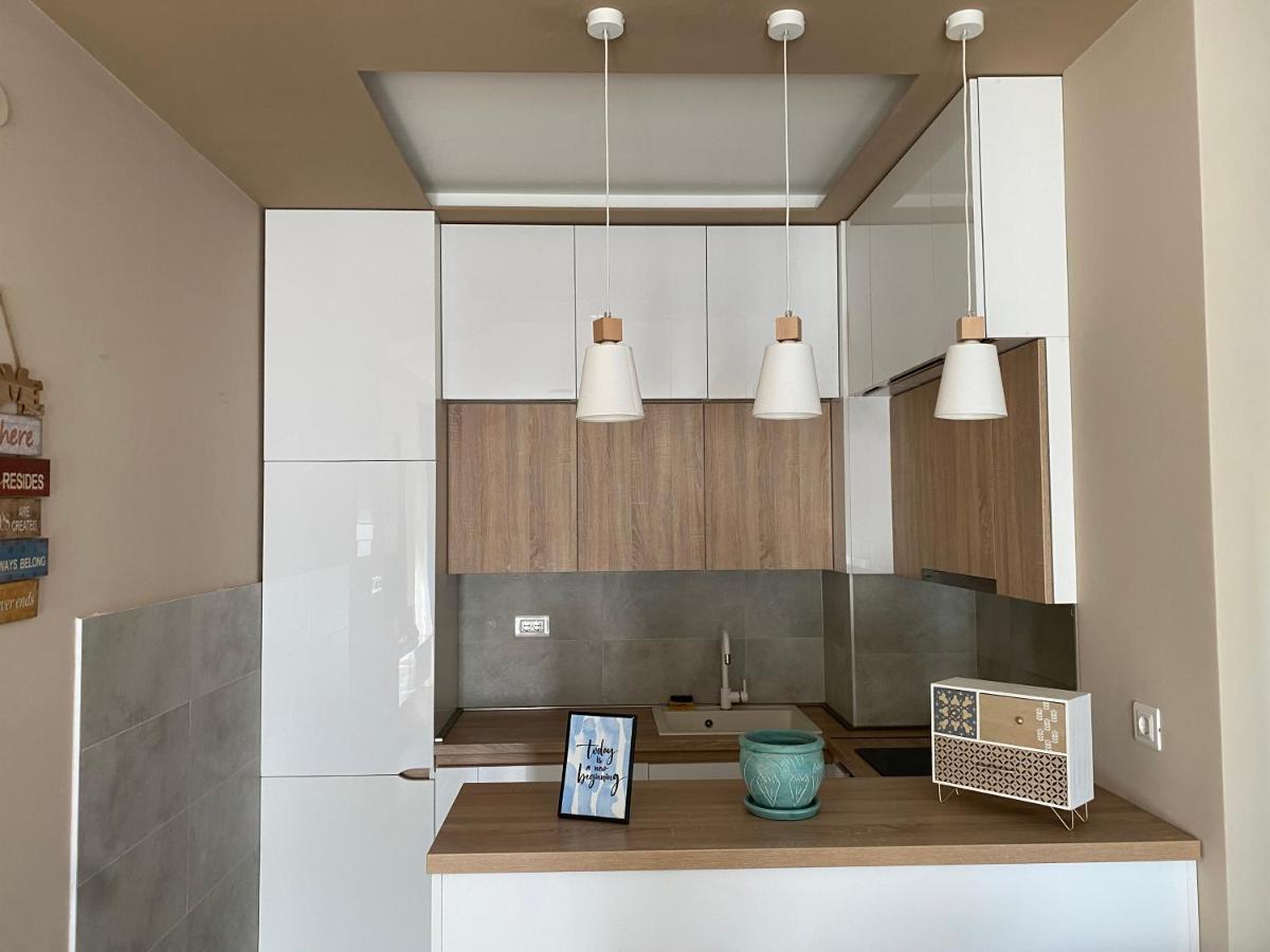 Apartment Sofia, City Centar بودغوريتْسا المظهر الخارجي الصورة
